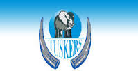 tuskers