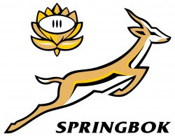 springbok